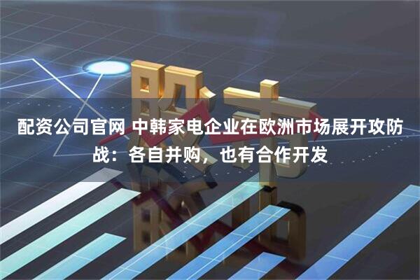 配资公司官网 中韩家电企业在欧洲市场展开攻防战：各自并购，也有合作开发
