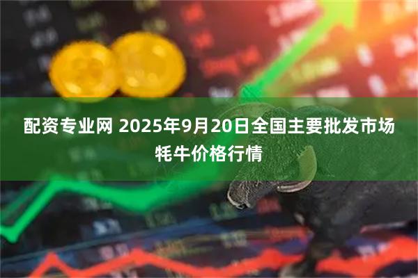 配资专业网 2025年9月20日全国主要批发市场牦牛价格行情